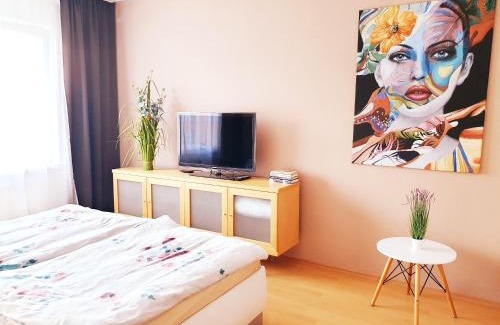 Banska Bystrica Apartment | Apartmán Terminál, self check-in 24 h, free parking