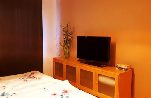 Banska Bystrica Apartment | Apartmán Terminál, self check-in 24 h, free parking