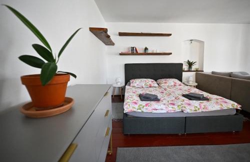 Trest Apartment | Apartmán U Špinarů