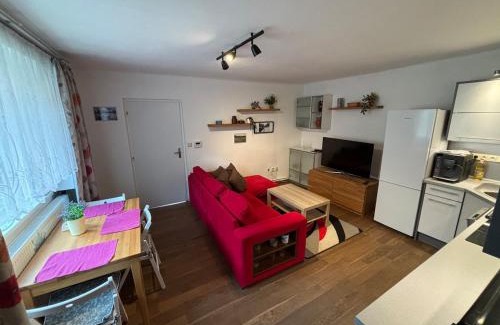 Kardasova Recice Apartment | Apartmán u Benátek