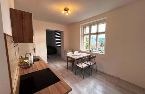 Ceska Kamenice Apartment | Apartmán u Koupaliště
