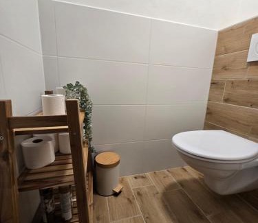 Bela pod Pradedem Apartment | Apartmán U Peciho