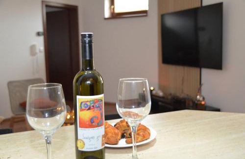 Kyjov Apartment | Apartmán U Pepana