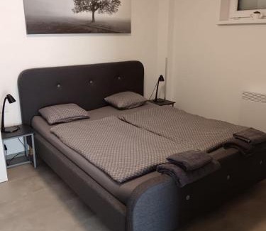 Boretice Apartment | Apartmán u Révy