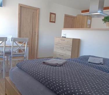 Hlavnovice Apartment | Apartmán U10