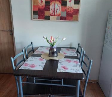 Sokolov Apartment | Apartmán v podhůří Krušných hor