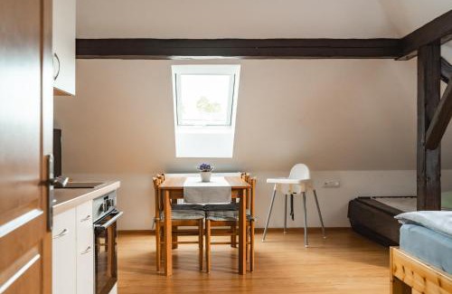 Karlovy Dvory Apartment | Apartmán V PODKROVÍ