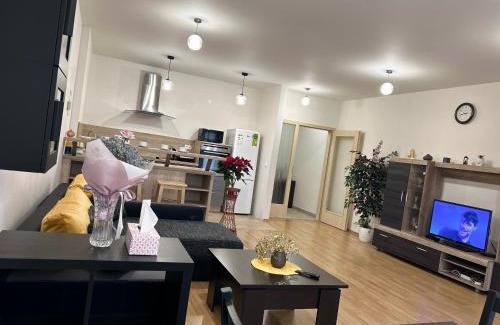 Podebrady Apartment | Apartmán v srdci Poděbrad 100m2
