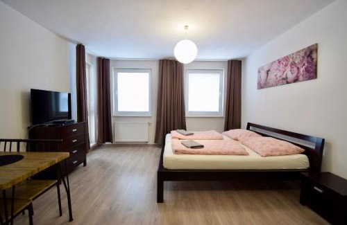 Trencin Apartment | Apartmán Zlatovská 22B