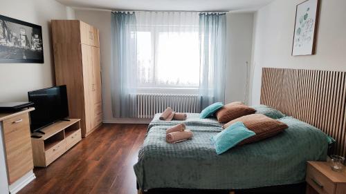Presov Apartment | Apartmány Chalúpkova ulica Prešov - Solivar