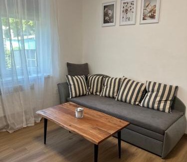 Dvur Kralove nad Labem Apartment | Apartmány Daros