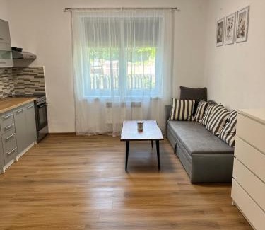 Dvur Kralove nad Labem Apartment | Apartmány Daros