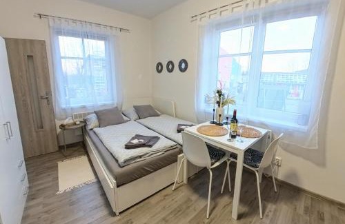 Dvur Kralove nad Labem Apartment | Apartmány Daros