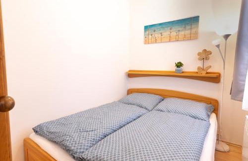 Vitkovice Apartment | Apartmány D u sjezdovky - Horní Mísečky