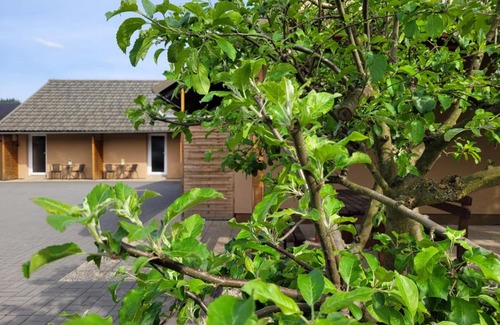 Velke Losiny Apartment | Apartmány DoLosin