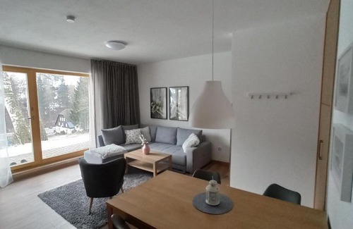 Velka Upa Apartment | Apartmány Pod Modřínem