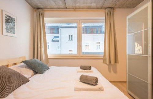 Merklin Apartment | Apartmány Pstruží AP19