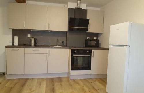 Rudnik Apartment | Apartmány Rudník Bolkov