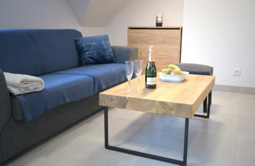 Rokytnice nad Jizerou Apartment | Apartmány StudenOFF