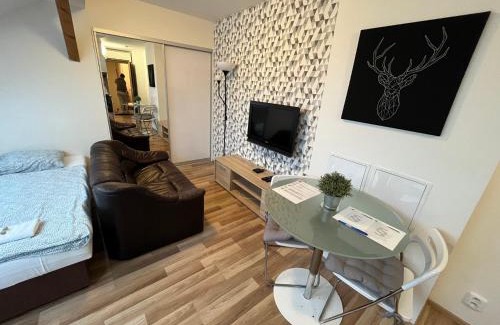 Brno Apartment | Apartmány Skryjova