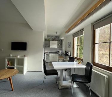 Jachymov Apartment | Apartmány U Pošty