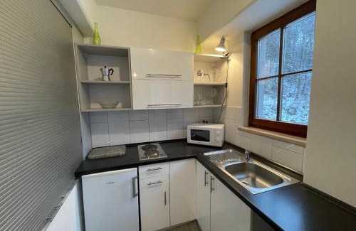 Jachymov Apartment | Apartmány U Pošty