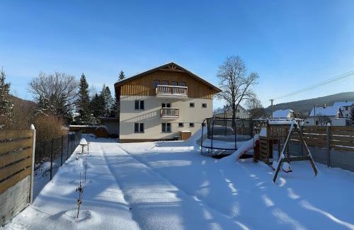 Lipova-Lazne Apartment | Apartmány U Rodinky