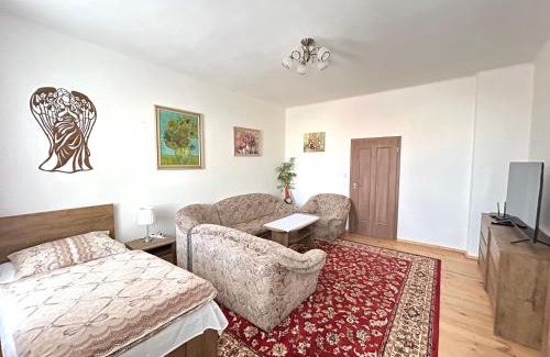 Kadan Apartment | Apartmány U sv. Anny