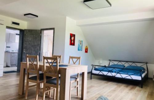 Malsin Apartment | Apartmány Větrná 29