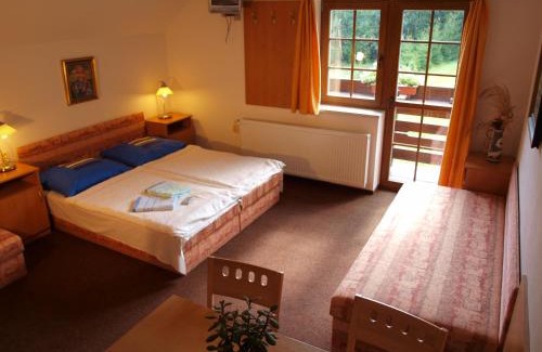 Paseky nad Jizerou House | Apartmány Vlasta