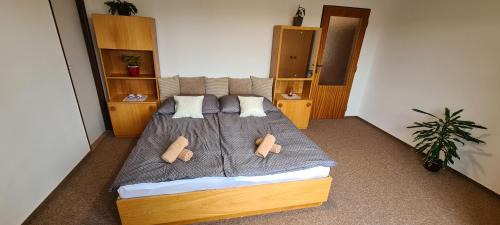 Hamry nad Sazavou Apartment | Apartmány Zelená Hora s velkou zahradou