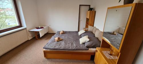 Hamry nad Sazavou Apartment | Apartmány Zelená Hora s velkou zahradou