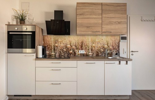 Bahlingen Apartment | Apartment 'Schmidt' with Wi-Fi and Air Conditioning