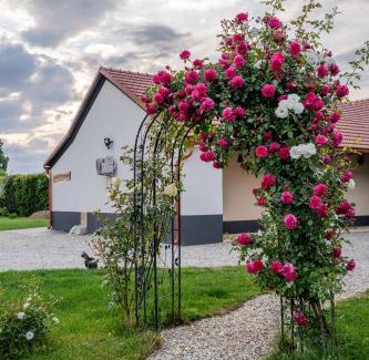 Beltinci Apartment | Apartma in wellness Čista fantazija