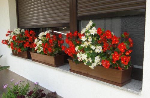 Tolmin Apartment | Apartma Jezero