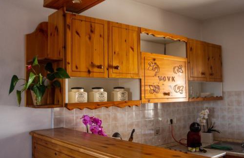 Dutovlje Apartment | Apartma Na skdnu