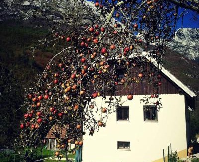 Soca Apartment | Apartmaji Katrč