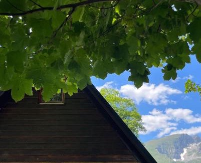 Virak House | Apartman A&A