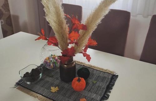 Bijeljina Apartment | Apartman Jana