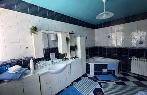 Mali Radic Apartment | Apartman kod Ismete
