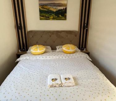 Zlatibor Apartment | Apartman Limun Zut