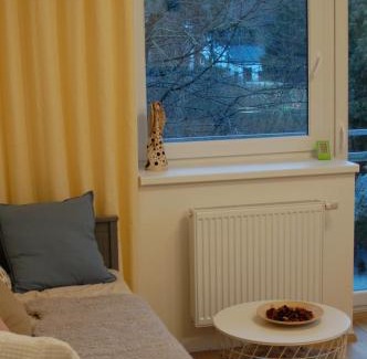 Horni Lipova Apartment | Apartman Masaryk