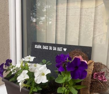 Pozarevac Apartment | Apartman MILI