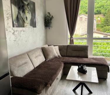 Zelenika Apartment | Apartman Misovic 2