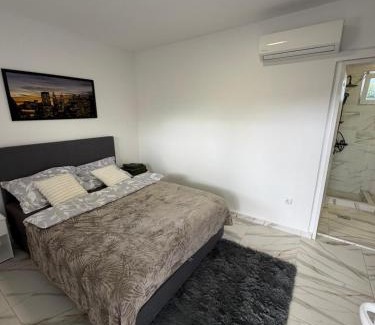 Stari Banovci Apartment | Apartman na dan Pecinci