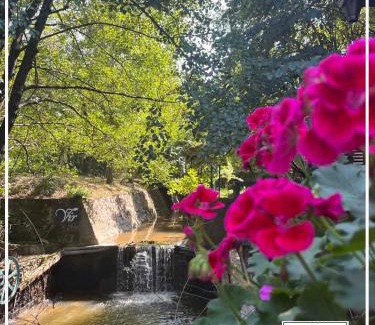 Vrnjacka Banja Apartment | Apartman Park Promenada