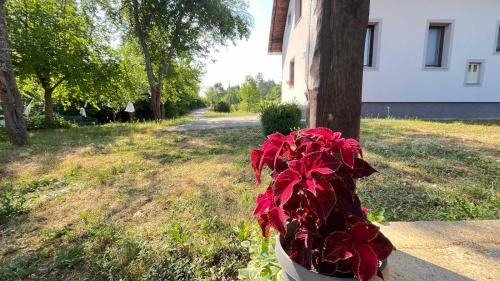 Slunj Apartment | Apartman San Slunj Rastoke
