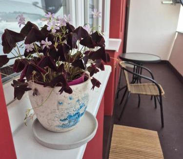 Srbac Apartment | Apartman Srbac