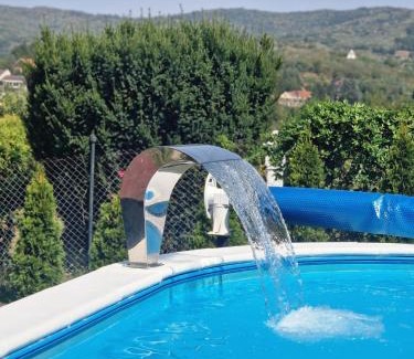 Vrdnik Apartment | Apartmani Radaković