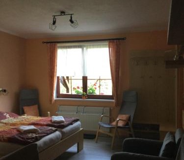Rokytnice nad Jizerou Apartment | Apartmany Samuel